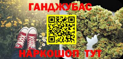 сатива Лесосибирск