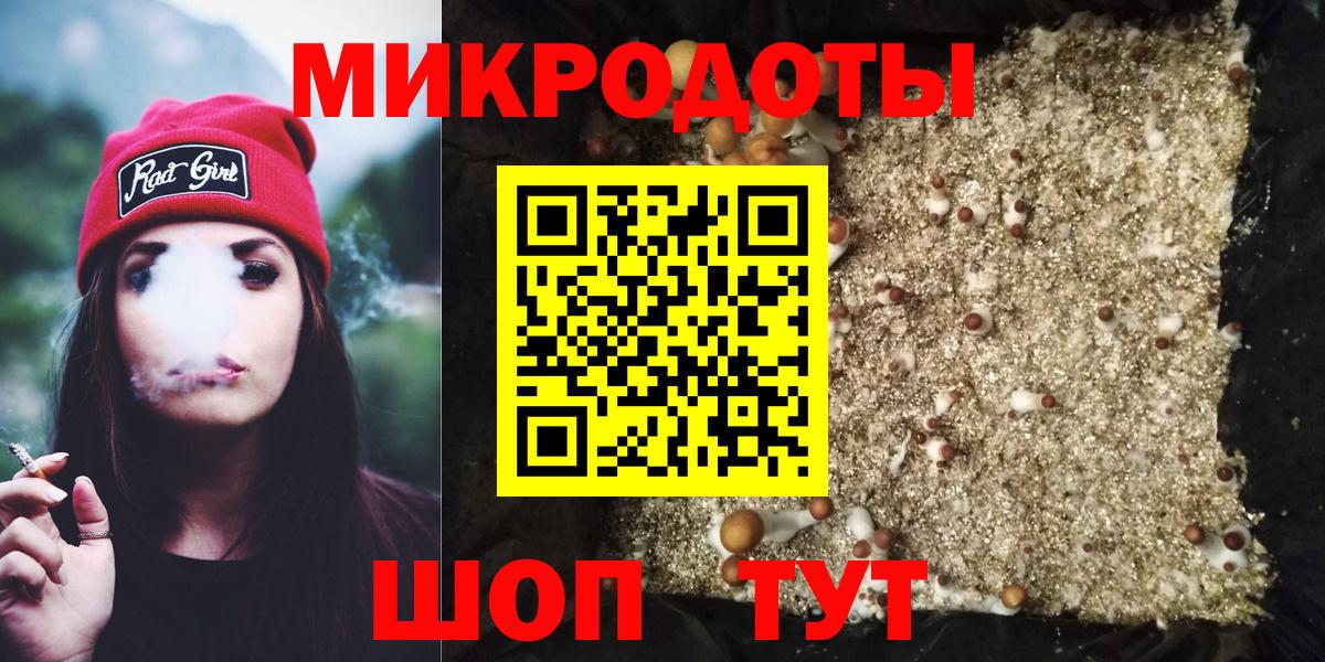 Галлюциногенные грибы Psilocybine cubensis Дзержинск